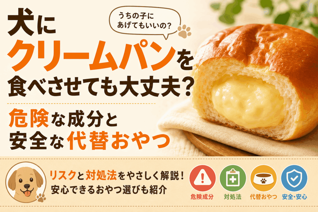 犬にクリームパンを食べさせても大丈夫？危険な成分と安全な代替おやつ