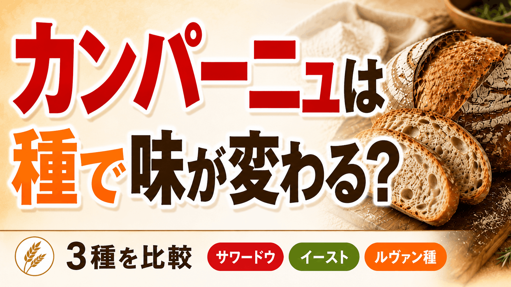 カンパーニュは種で味が変わる？｜サワードウ・イースト・ルヴァン種の違いを比較