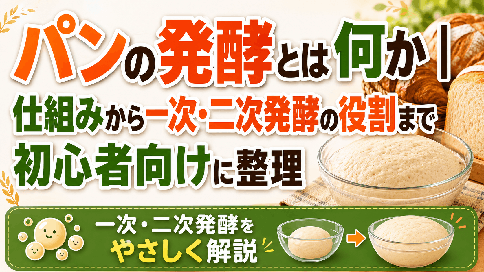パンの発酵とは何か|仕組みから一次・二次発酵の役割まで初心者向けに整理