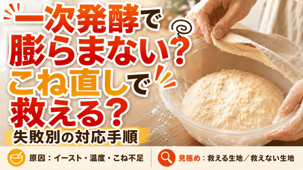 一次発酵で膨らまないパンはこね直しで救える？失敗別の対応手順